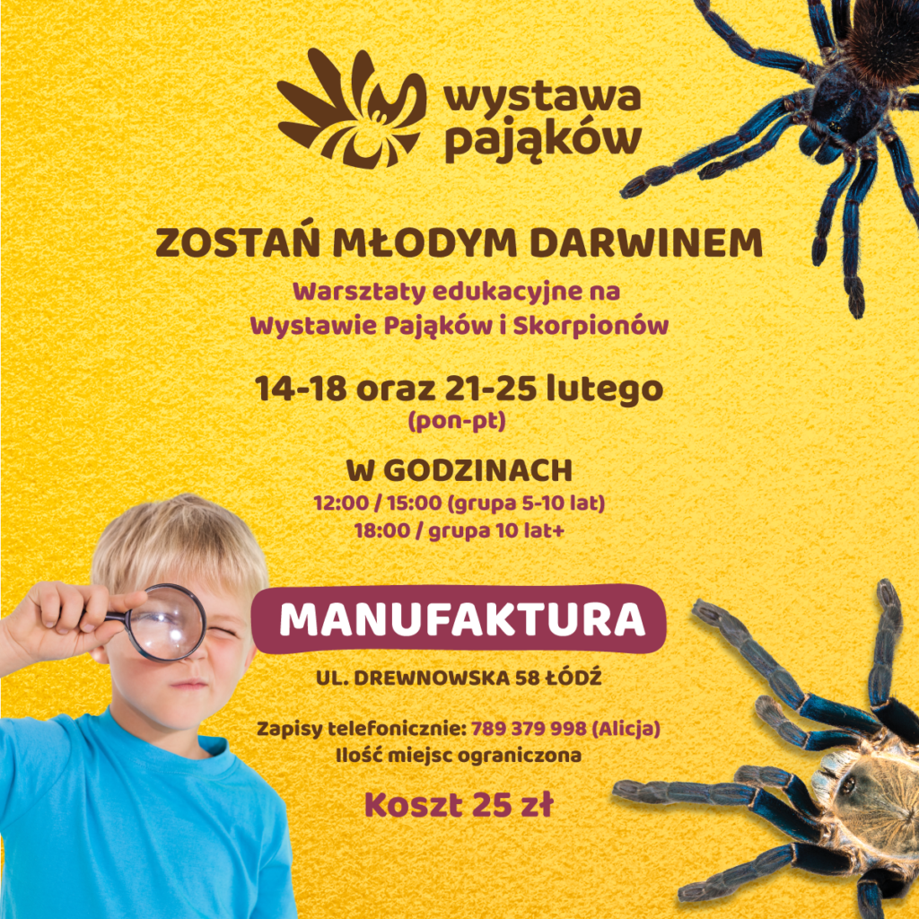 Wystawa Pająków - Zostań Młodym Darwinem - wystawapajakow.pl