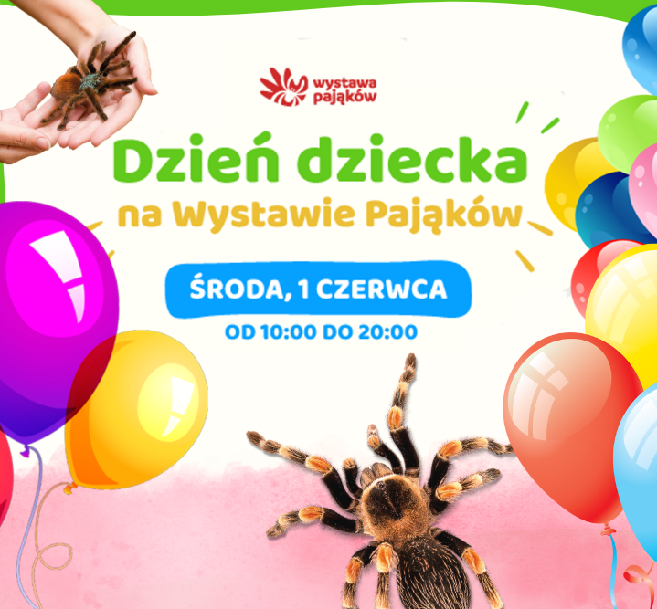 Dzień dziecka na Wystawie Pająków - wystawapajakow.pl